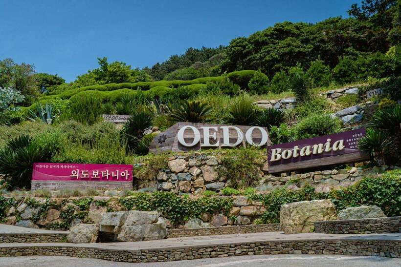 Busan: Geoje Coastal Escape, Sea Breeze, Oedo Botania Island - A Busan Day Trip That Actually Feels Like an Escape