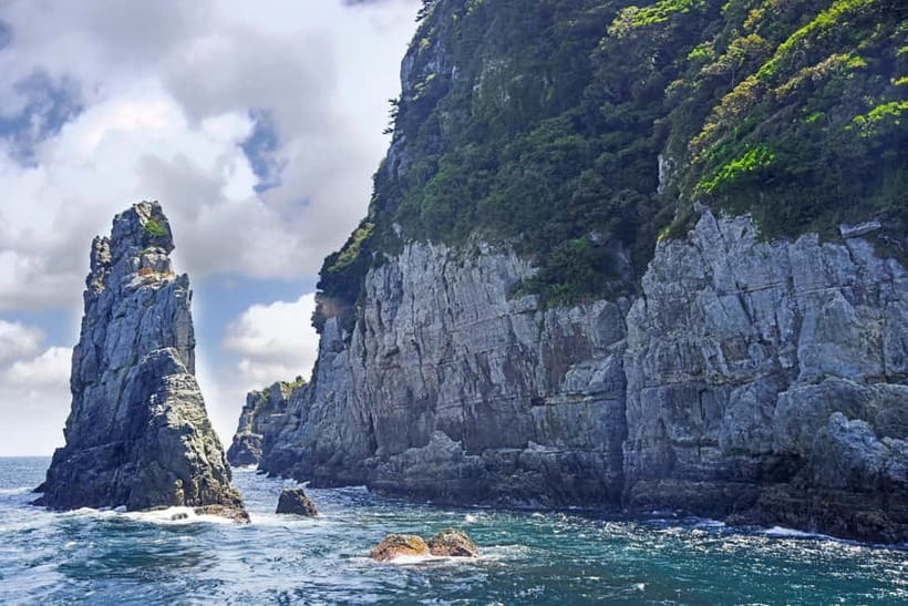 Busan: Geoje Coastal Escape, Sea Breeze, Oedo Botania Island - Price and Value: Is $95 Fair for This Route?
