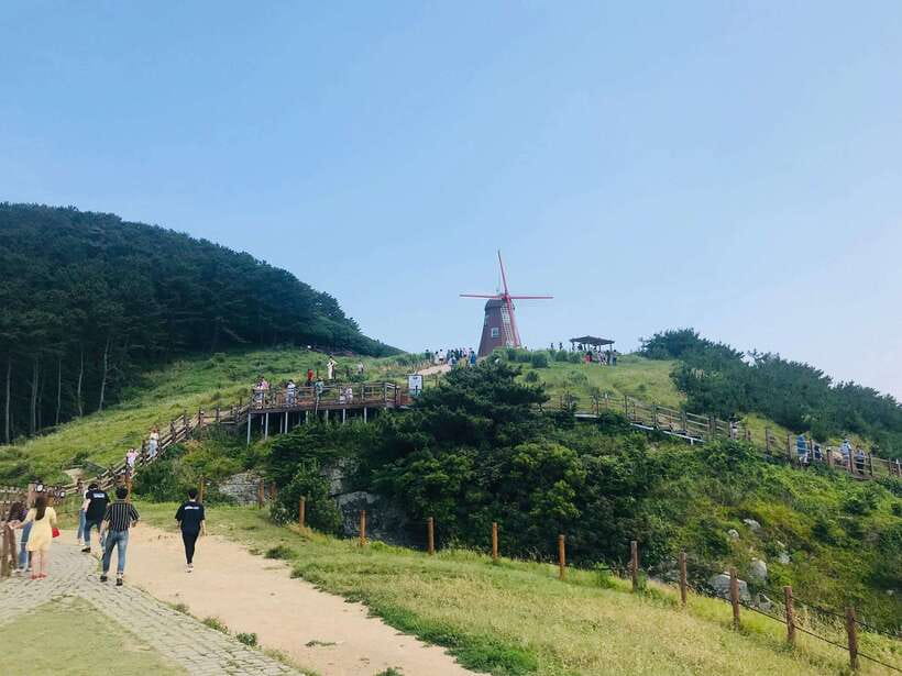 Busan: Geoje Coastal Escape, Sea Breeze, Oedo Botania Island - Oedo Botania: Botanical Island Time With Cable Car Fun
