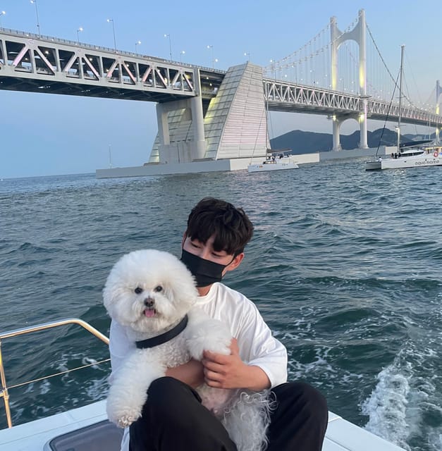 Busan: Group Sightseeing Yacht Cruise with Snacks and Drinks - Snacks, cold beer, and sweets: what’s actually included on board