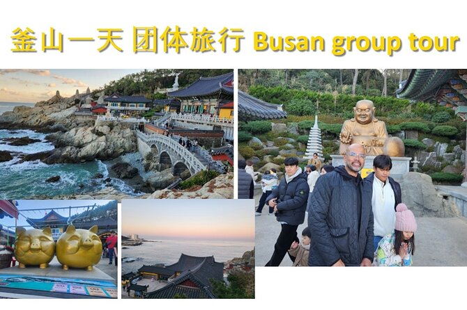 Busan Group Tour for Cruise ship passengers (Max 12 Guests) - Cruise-Day Timing: Start About an Hour After Docking