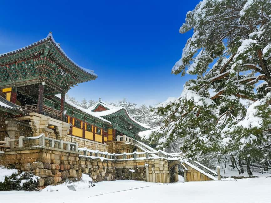 Busan: Gyeongju UNESCO Legacy Tour with National Museum - Key Tour Highlights You Should Know