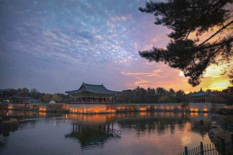Busan: Gyeongju UNESCO Legacy Tour with National Museum - Ahopsan Bamboo Forest or Dalmaji Hill: Picking Your Spring Scenery