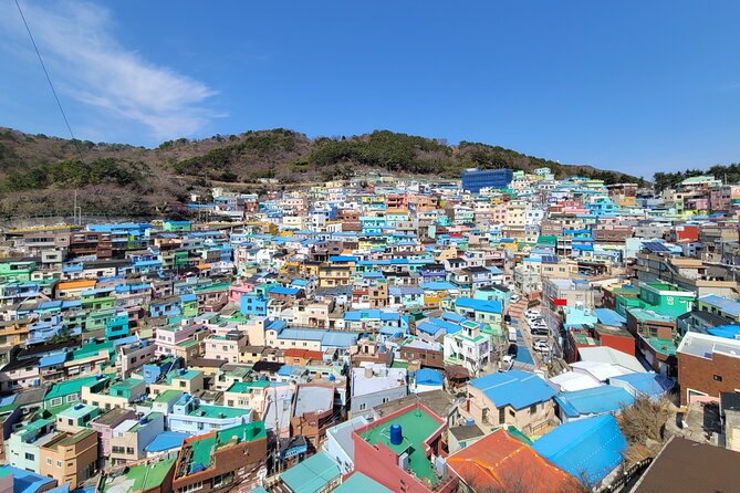 Busan Half-Day Customizable Private Tour in English - Key things that make this private Busan tour work