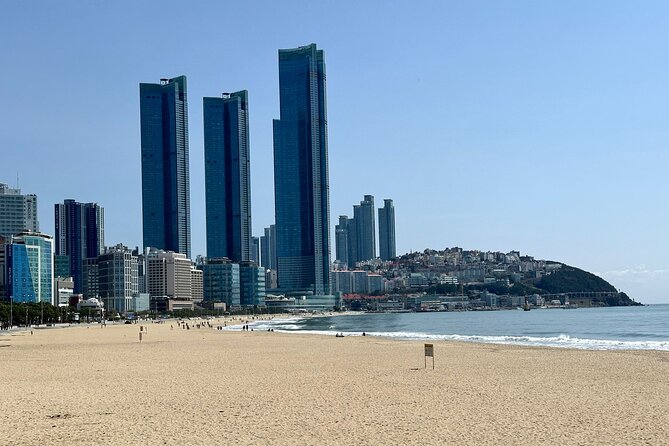 Busan Half-Day Customizable Private Tour in English - The value of a local English-Korean guide (and the names I’d trust)