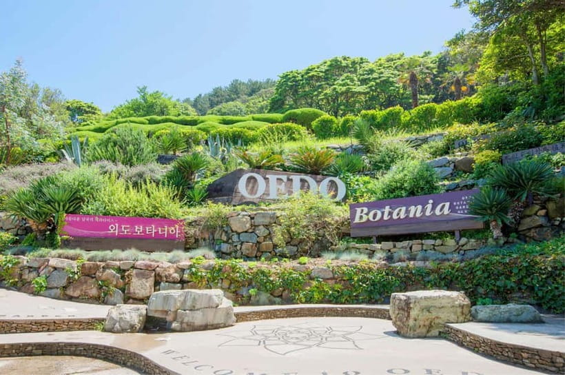 Busan: Hidden Gem Geoje & Oedo Botania Island & Cable car - Key Things You Should Know Before You Go