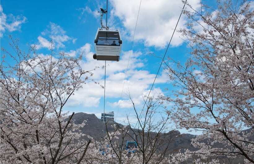 Busan: Hidden Gem Geoje & Oedo Botania Island & Cable car - Windy Hill Views: A Quiet Break After the Island