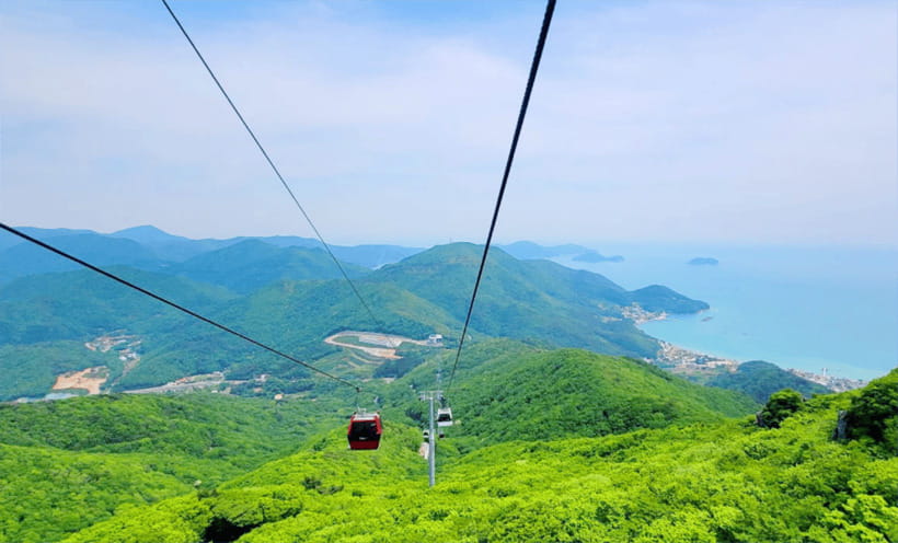 Busan: Hidden Gem Geoje & Oedo Botania Island & Cable car - Should You Book This Busan to Geoje and Oedo Botania Day Trip?