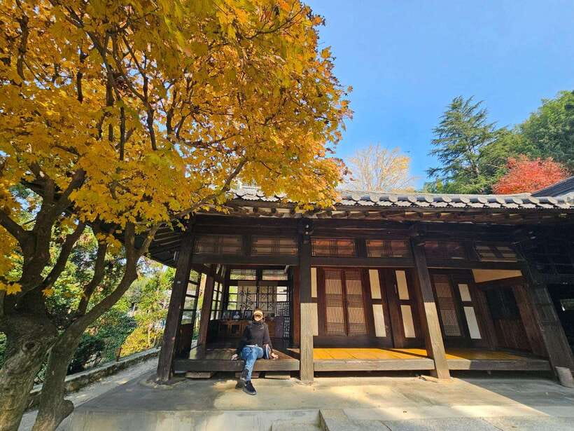 Busan: Hidden Gems Private Tour with a Certified Guide - Gamcheon Culture Village art streets and BTS murals