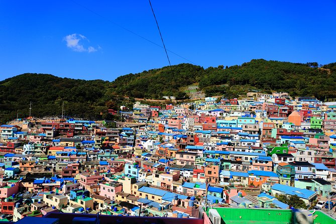 Busan Highlights Shore Tour – Cruise Return Assured - Gamcheon Culture Village Stair Streets and Photo Spots