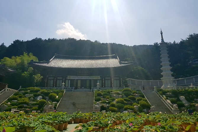 Busan Highlights Shore Tour – Cruise Return Assured - BIFF Square Stops for Old Movie Memories