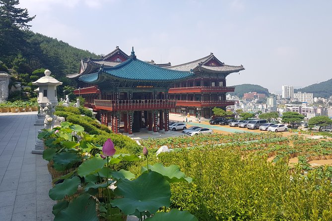 Busan Highlights Shore Tour – Cruise Return Assured - Price and Value at $159.99 for an 8-Hour Cruise Day
