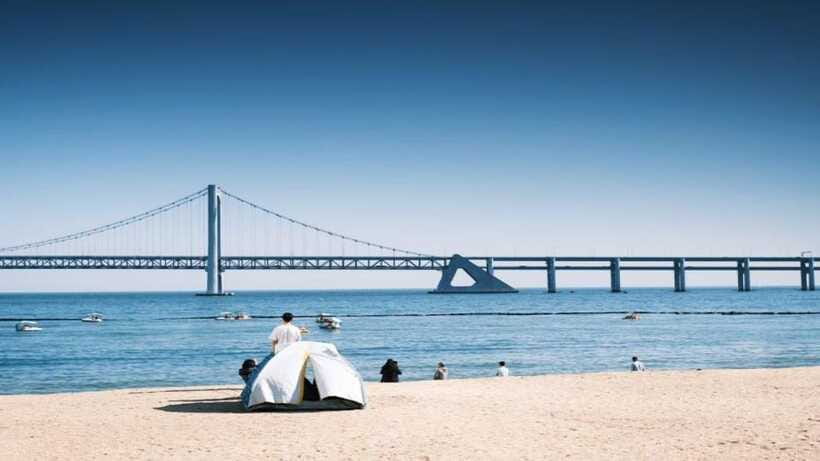Busan: Jagalchi Market & Gamcheon village Walking Tour - Price and Value: What You Pay For at $106 Per Person