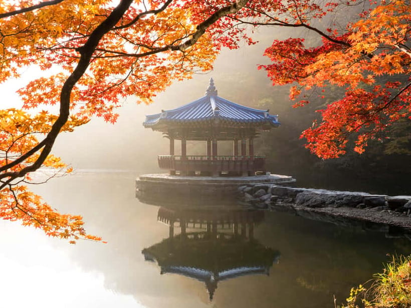 Busan: Naejangsan National Park Autumn Foliage One Day Tour - Key highlights at a glance