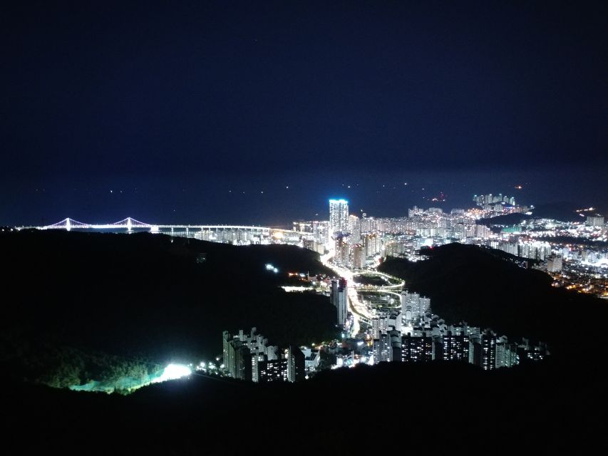 Busan: Night Viewpoints with Evening Cruise w/ Fireworks - Busan at Night, by Cruise and Hilltop Views