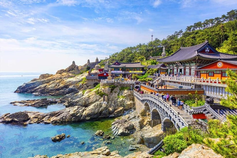 Busan: Private Chartered Car Tour - Key Points You’ll Care About