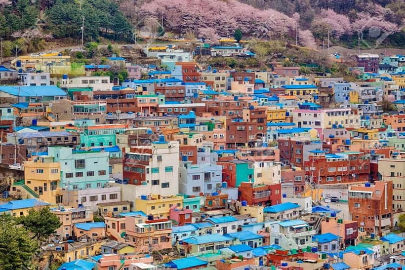 Busan: Private Chartered Car Tour - Songdo Skywalk: Coastal Views With an Easy Photo Mission