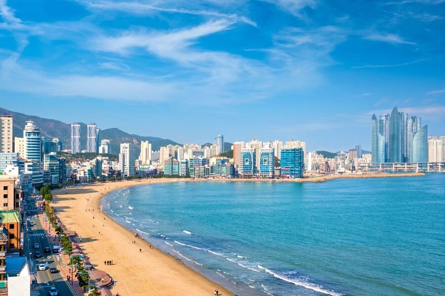Busan: Private Chartered Car Tour - Price and Value: When $309 Makes Sense for Your Group