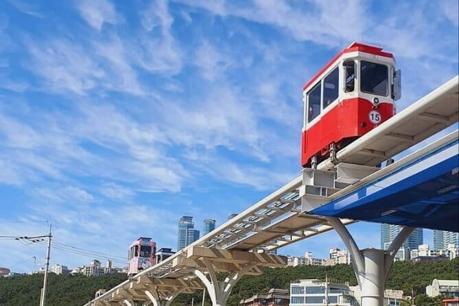 Busan Private Guide Tour : Enjoy customized tour only for you! - How the 4-8 Hour Private Route Works in Busan