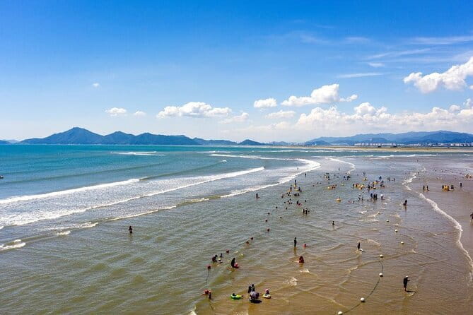Busan Private Guide Tour : Enjoy customized tour only for you! - Price and logistics that actually affect your day