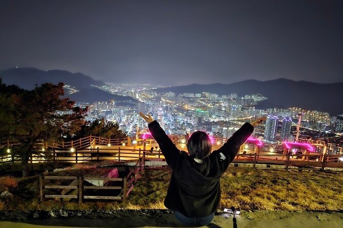 Busan Private Night Tour - City Lights & Food - A four-hour Busan night plan: yacht, market, and mountain lights