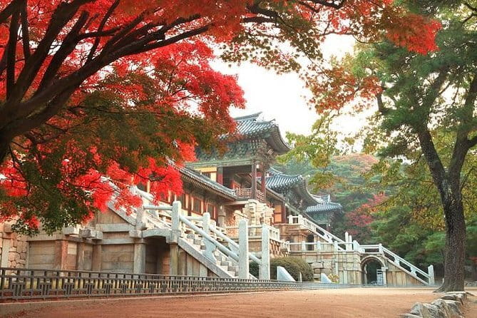 Busan private tour in English or Mandarin - Dongbaekseom and APEC House: Ocean Walking Time That Breaks Up the Crowds