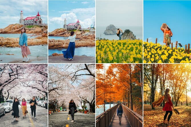 Busan private tour in English or Mandarin - Haeundae Beach in 10 Minutes: The Crowd Scene Plus a Seasonal Detail