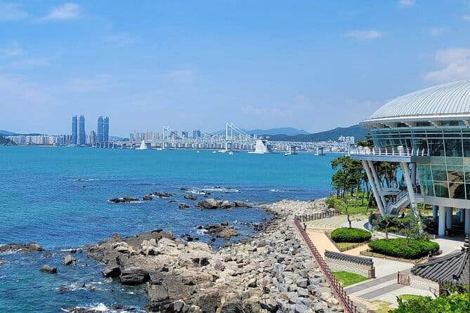 Busan private tour : K-pop dance class + tour - What the private setup means day to day