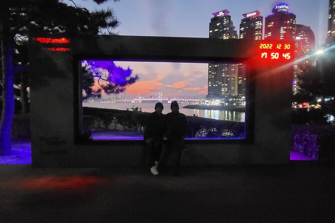 Busan Private Tour with an official tour guide - Why this private format saves your day in Busan
