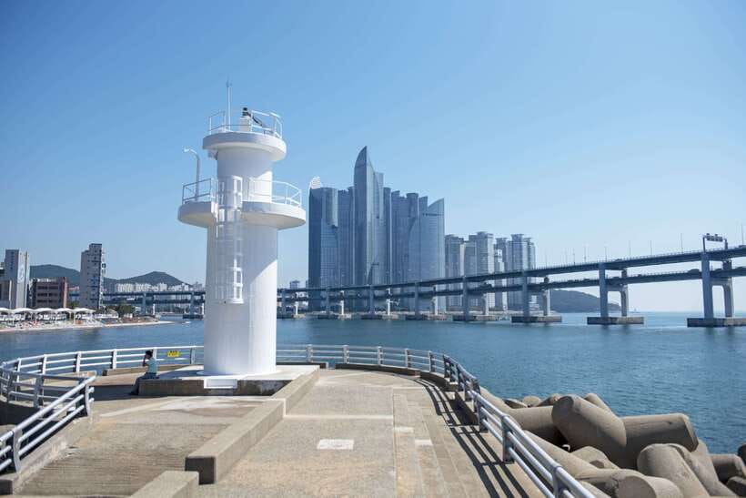 Busan's Best: Sea Temples, Yacht Tour & Sky Capsule Day Tour - The lunch break: you get time to eat, meals are on you