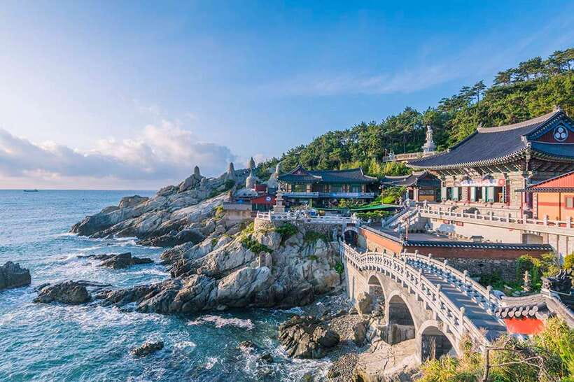Busan's Best: Sea Temples, Yacht Tour & Sky Capsule Day Tour - Getting there and timing: how to survive a long coach day