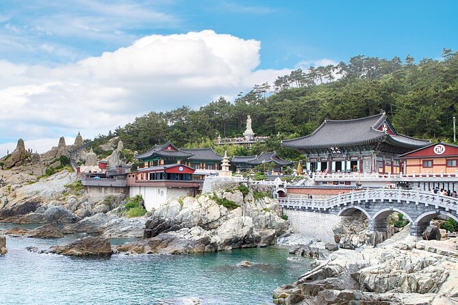 Busan's Cultural Wonders with Beach Train & Gamcheon Village etc - Private minibus pacing: comfortable rides, still a long day