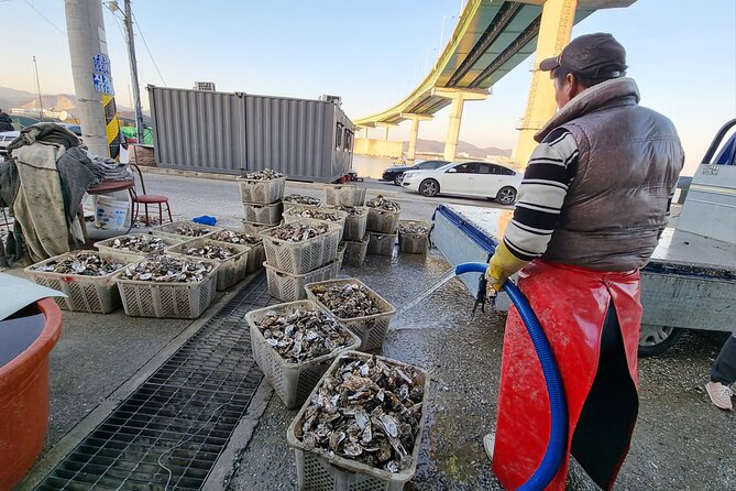 Busan Seafood Tour : Oyster village Tour with Oyster cuisines - Busan oyster village is a short ride from the subway