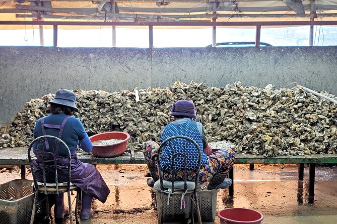 Busan Seafood Tour : Oyster village Tour with Oyster cuisines - Seasonal timing, weather, and small-group pace