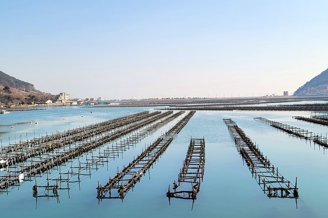 Busan Seafood Tour : Oyster village Tour with Oyster cuisines - Pickup, meeting point, and how to plan your half-day