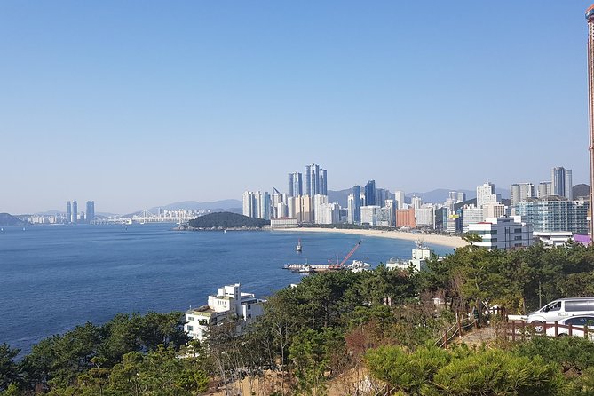 Busan Shore Excursion; Private City Tour - Key things I’d plan for