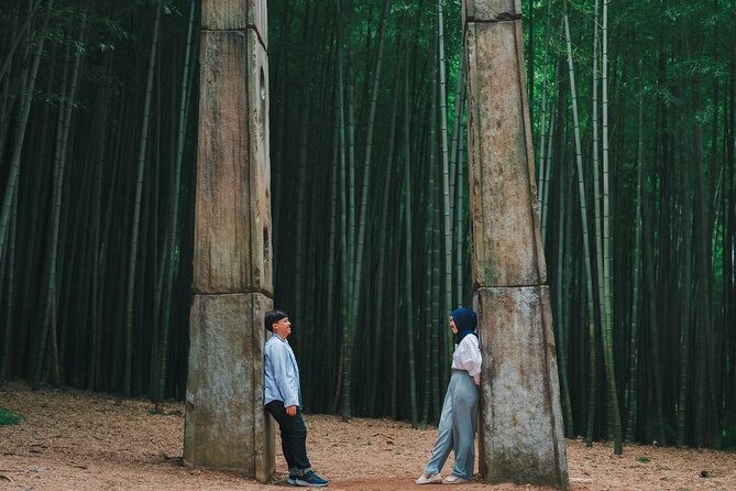 Busan Small Group Photo Tour (Max 6 Pax) - Ahopsan Forest: 400 years of calm, plus bamboo photo energy