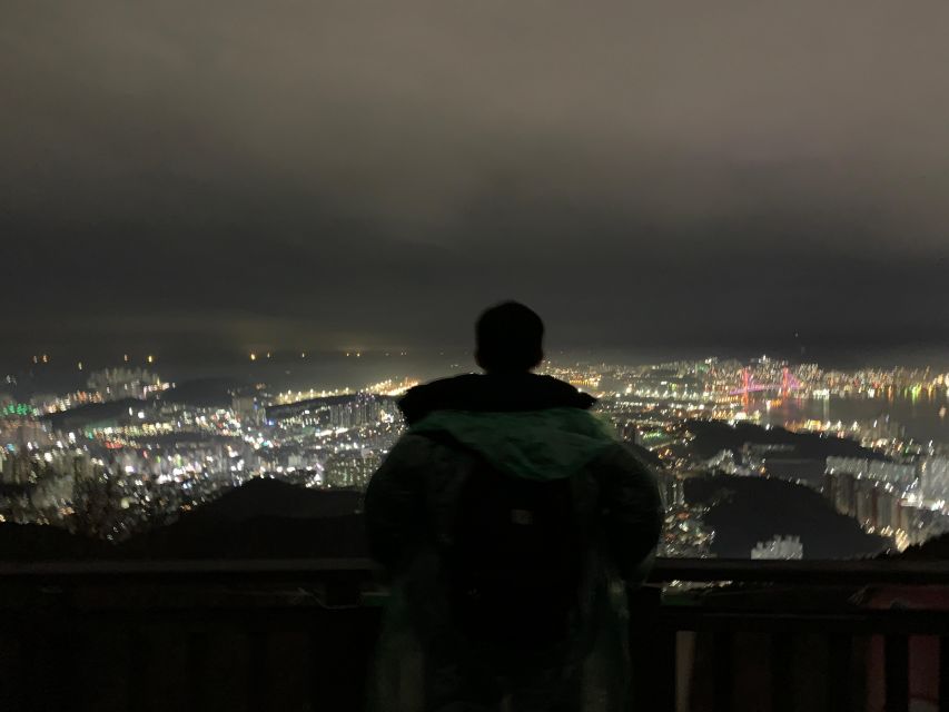 Busan: The Best Night View Small Group Tour - Price and value: is $25 fair for this kind of night view?