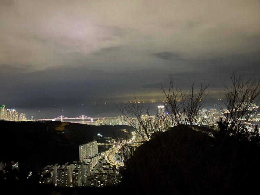 Busan: The Best Night View Small Group Tour - The ride back: how the night extends beyond the summit