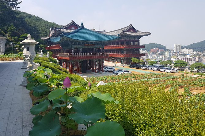 Busan Tour: Gamcheon Village & Haedong Yonggungsa Temple + Lunch - Lunch in Busan: Korean BBQ, private dining, and vegetarian requests