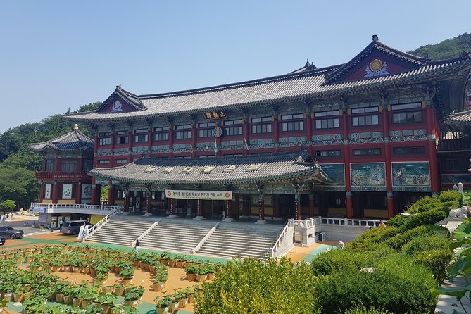 Busan Tour: Gamcheon Village & Haedong Yonggungsa Temple + Lunch - Price and logistics: when $159.99 feels fair