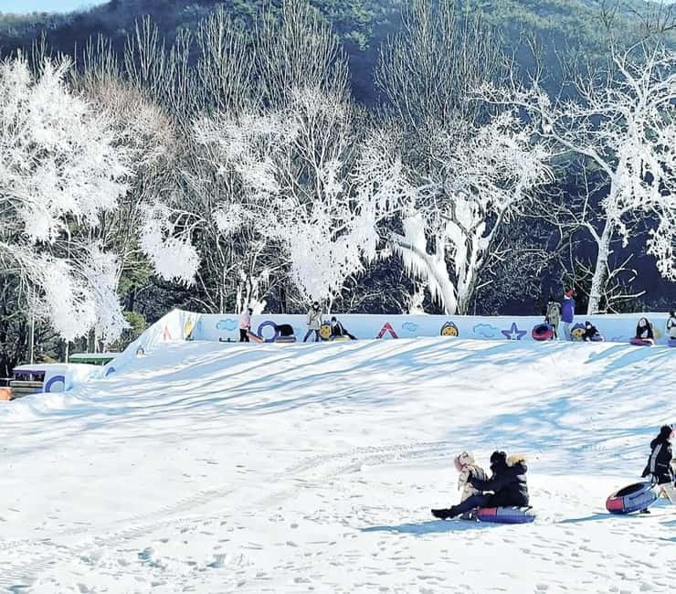 Busan: Winter Healing Park and (Gyeongju/Daegu) One Day Tour - Gyeongju Winter Combo: Bulguksa, Gyochon Village, Hwangridan Street, Woljeong Bridge