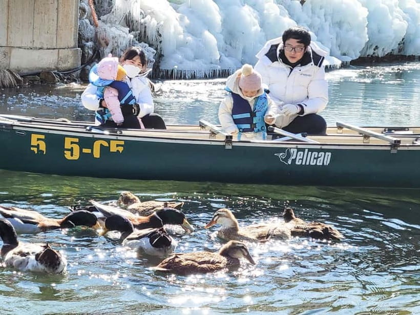 Busan: Winter Healing Park and (Gyeongju/Daegu) One Day Tour - Timing, weather shifts, and what to watch during the long day