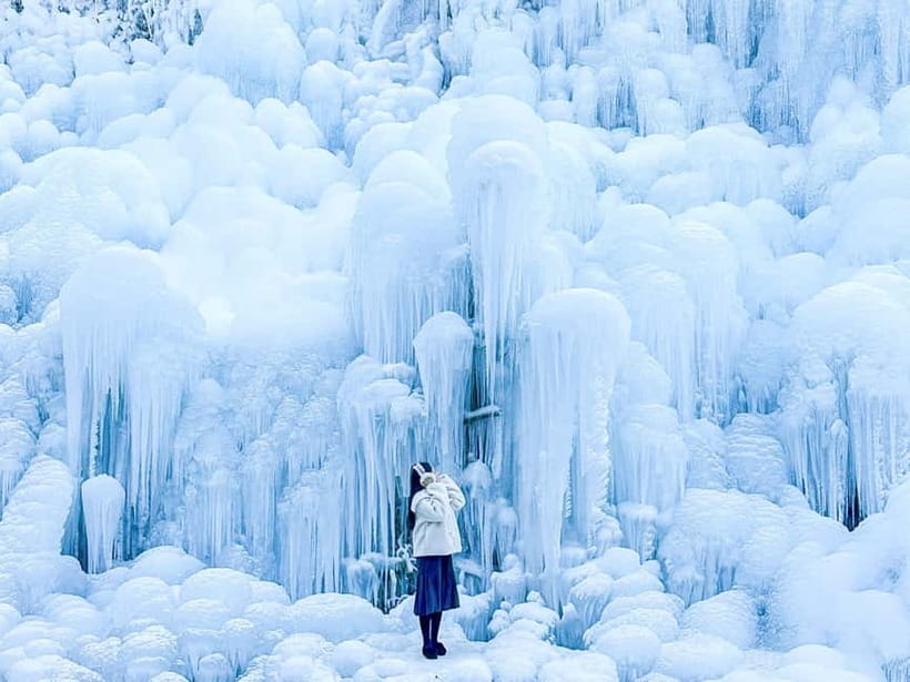 Busan: Winter Healing Park and (Gyeongju/Daegu) One Day Tour - Kookmin Healing Park: sled rides, icy walks, and an optional canoe fee