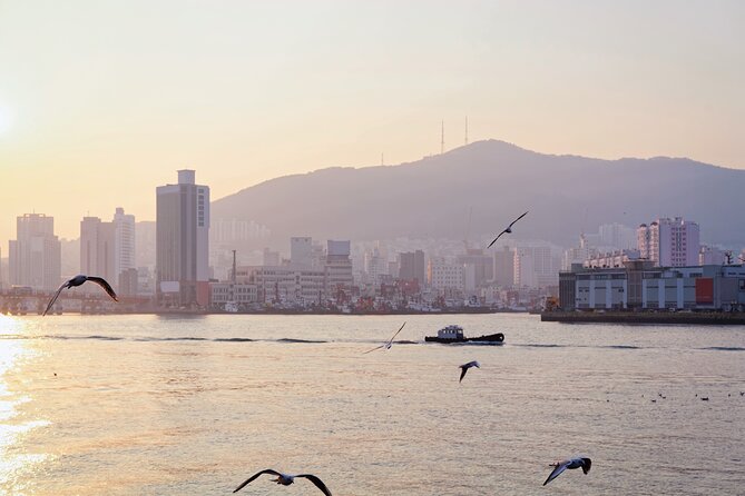 Colors of Busan: Sky Capsule, Jagalchi Market & Night Views - Key highlights you should plan around