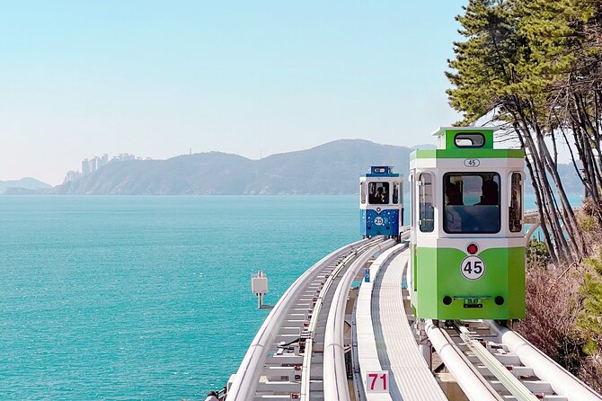 Colors of Busan: Sky Capsule, Jagalchi Market & Night Views - Why this Busan day trip works as a “first trip” sampler