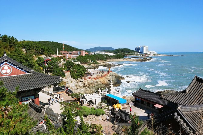 Cruise Layover Busan Highlight Tour with Sea temple and Gamcheon - A cruise-shore day built around one simple goal
