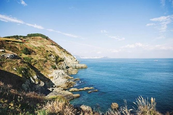 Cruise Layover Busan Highlight Tour with Sea temple and Gamcheon - Haeundae Beach: the famous shoreline moment