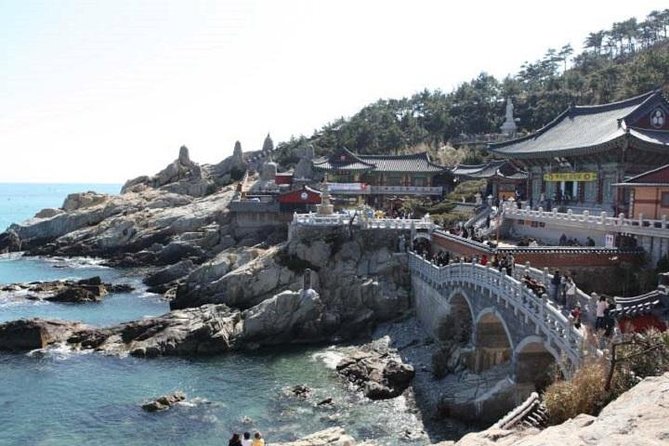 Cruise Layover Busan Highlight Tour with Sea temple and Gamcheon - UN Memorial Cemetery: thoughtful pause in a packed day