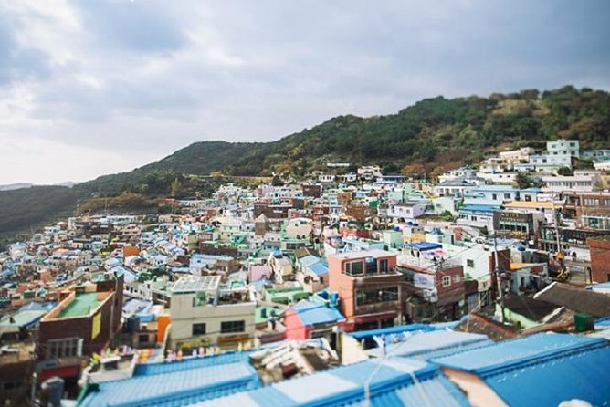 Cruise Layover Busan Highlight Tour with Sea temple and Gamcheon - Jagalchi fish market: busy seafood theater in the middle of the day